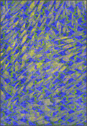 Serçe Mavi Hayvan Figürlü Modern Halı
