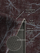 Gece Gök Kubbe Mürdüm Modern Halı