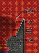 Karnaval Kırmızı Çocuk Odası Halısı