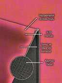 Yumak Pembe Modern Halı